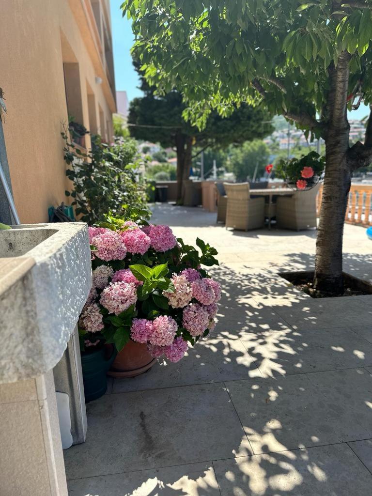 Apartmani Suzana Klenovica Exterior photo